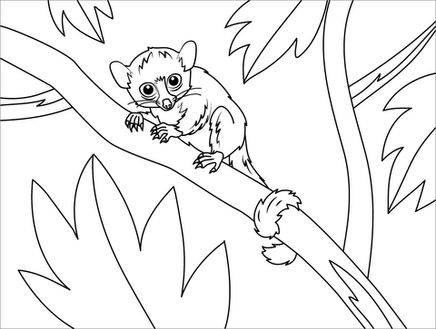 Madame Berthes Mouse Lemur Coloring Page